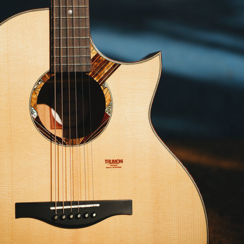 Trumon Dolphin All-Solid Acoustic Guitar